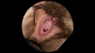 Подборка фотографий голых женский писек крупным планом